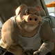 BullishPig