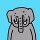 elephant15