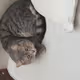 Crankxxl