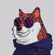 Cryptonian_k