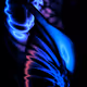 LowSea_NFT