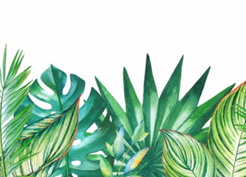 OpenSea banner for @Plantations