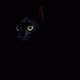 Ettimferagatwow