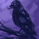 crowley