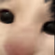 HamburgerCat