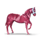_Sor_