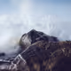 themaxlp18fanta