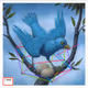 0x1bd4ccb32aab0f8c6cc65a0b0f307241cd98b063