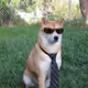 JakesVault