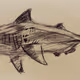 CryptoSketching