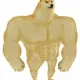 StrongestHolder