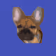 BroLouie23
