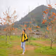 luccinguyen2201