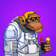 NASA_Ape