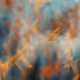 0x1c6259ff11177494b4c02212839ca1136c358530
