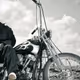 Harley_0