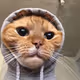 0x1c6dd7f7bc46882235c5a4ddad6df69426a5d779