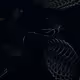 Humanerrorx