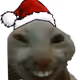 Naevisistic
