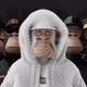 DonKorleon