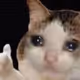 0x1ce75f0d1b528fb9196c378de00270cb2e8484d4