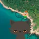dreamycat