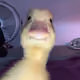 0x1d252c41229c555700959553d566b0298e92531a