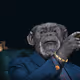 MoonboyMattyP