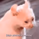 HideMyBag