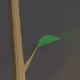 PetStick