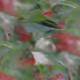 0x1d7a119fd2ccce9e88e39bb988ef1562468b0dd4