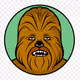 Wookiedaywalker