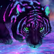 Gyurkoa