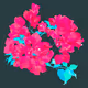 Bougainvillea3