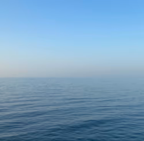 OpenSea banner for @Surrounded