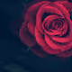 yousra15.eth