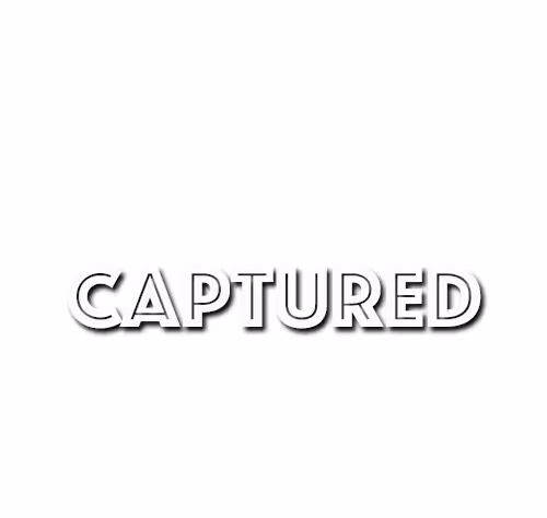 OpenSea profile picture for @captured