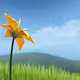 joyfulamy620215