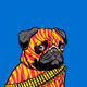 -WhatThePug-