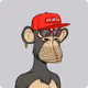 AmyGill4n5kf