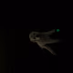 J_Nit27