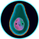 CosmicAvocado