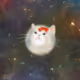 Vincentnyangnyang