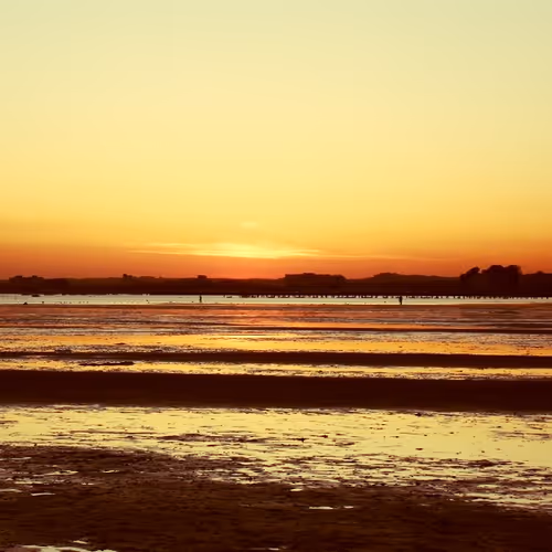 OpenSea banner for @Dorset