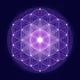 0x1ebdbef9bc82293f71f655ed8594ed1e4b42bbb0