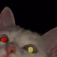l0xami