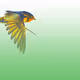 BlueBirdMomClub