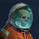 DevGone