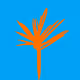 fruittree.eth