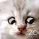 Dolly_19